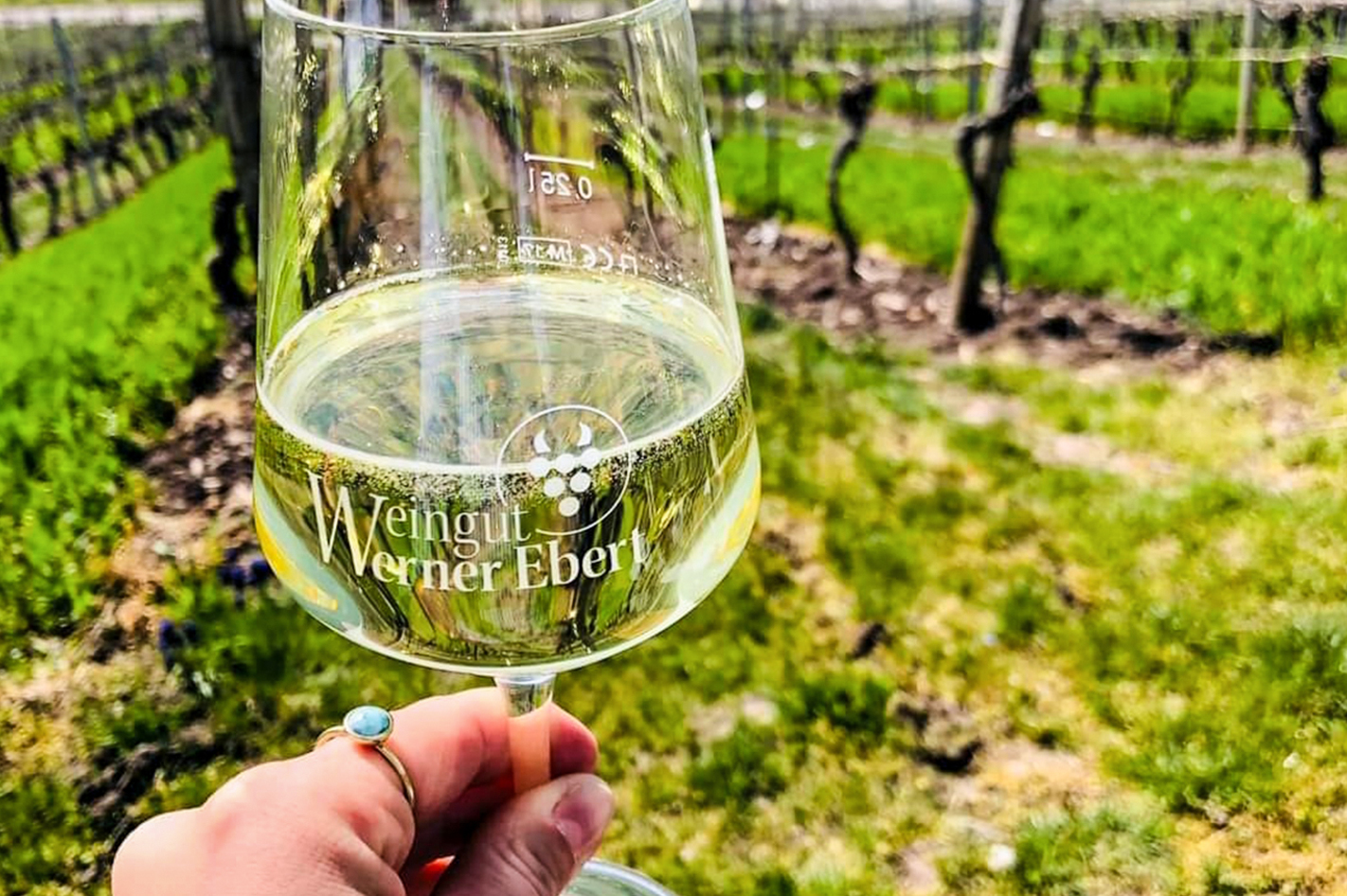 Weinbergwanderung Oberschwarzach  in Plant rund 8 Stunden ein.
