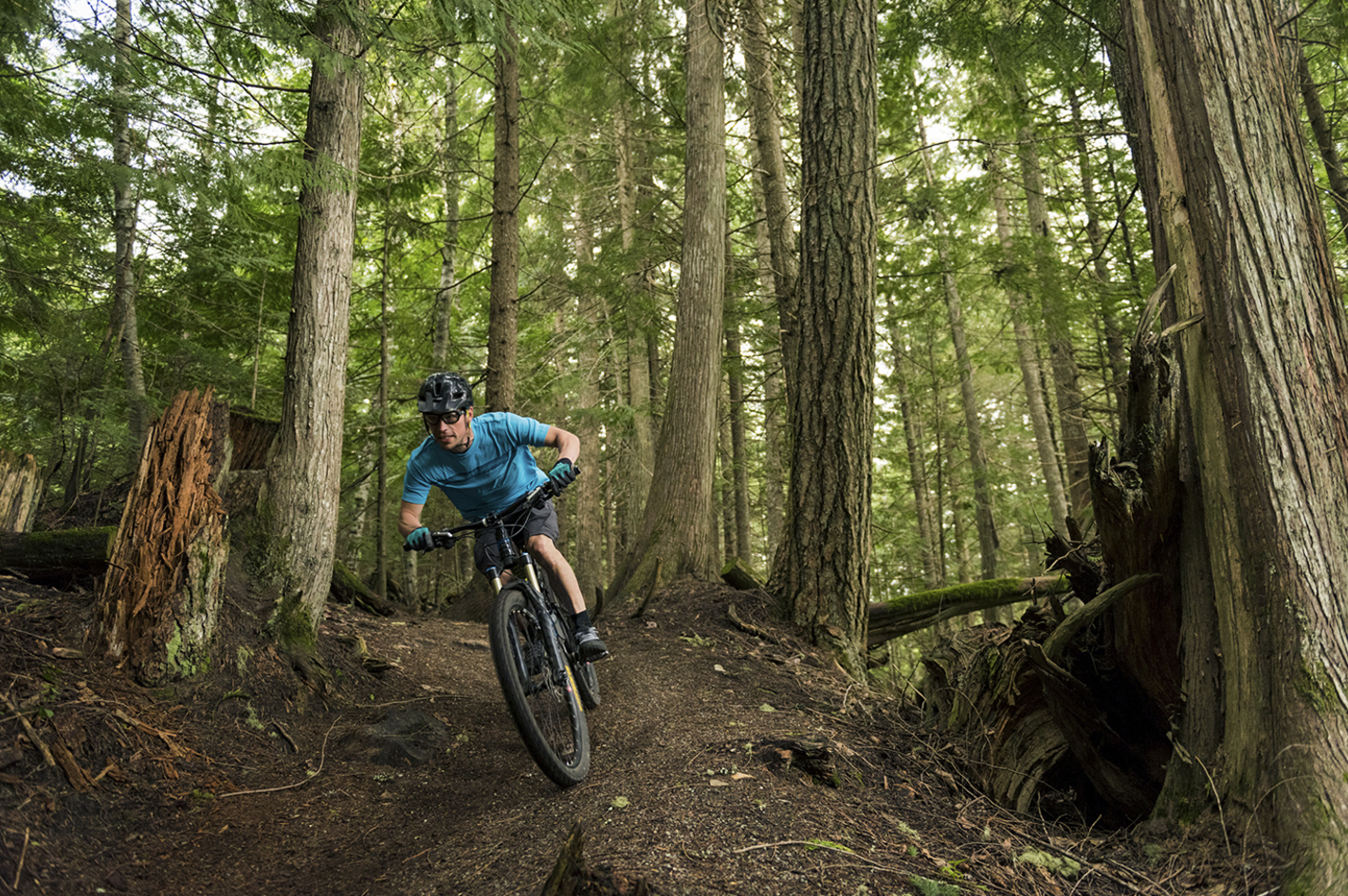 Radsport-Touren und -Kurse