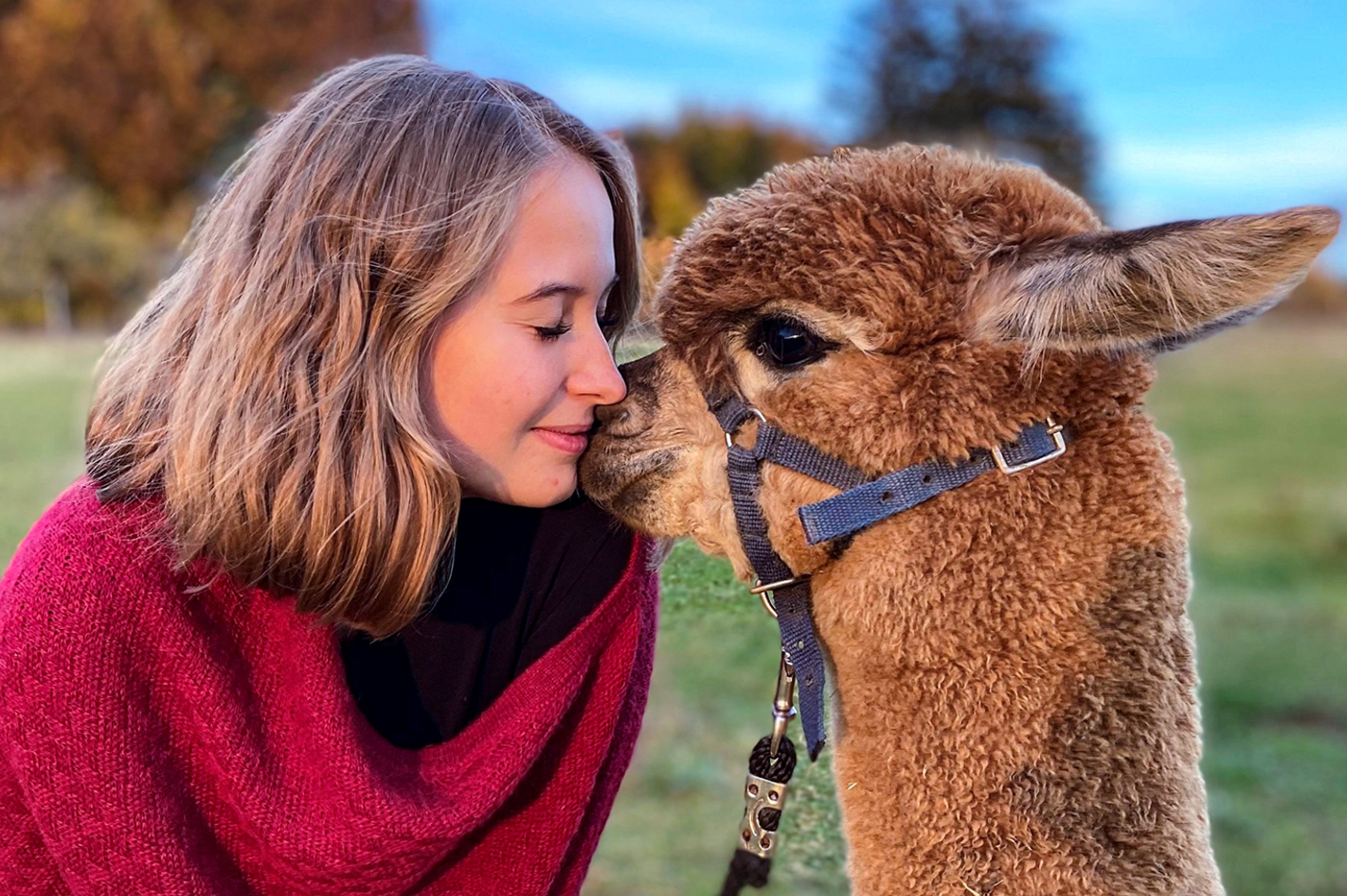 2 Tage Übernachtung auf der Alpakafarm Affinghausen für 2 (1 Nacht) inkl. Frühstück