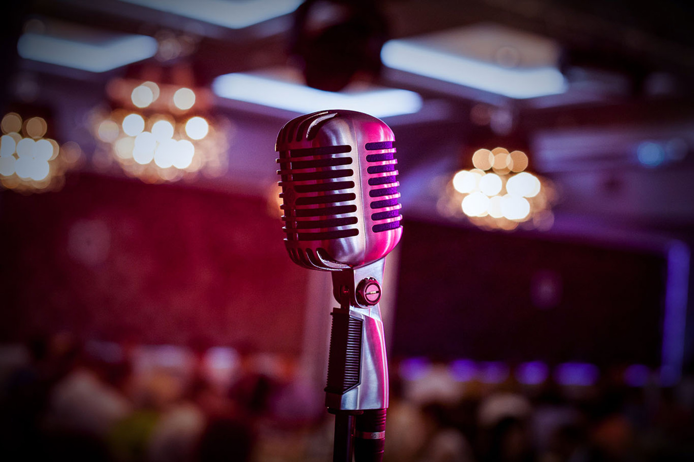 Weihnachtsdinner-Show Braunschweig