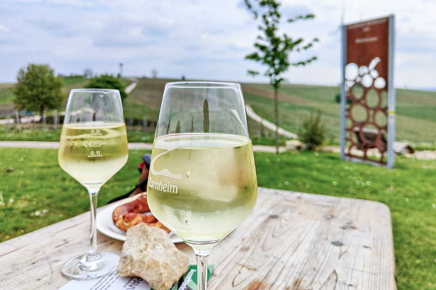 Weinwanderung am Selzbogen Selzen