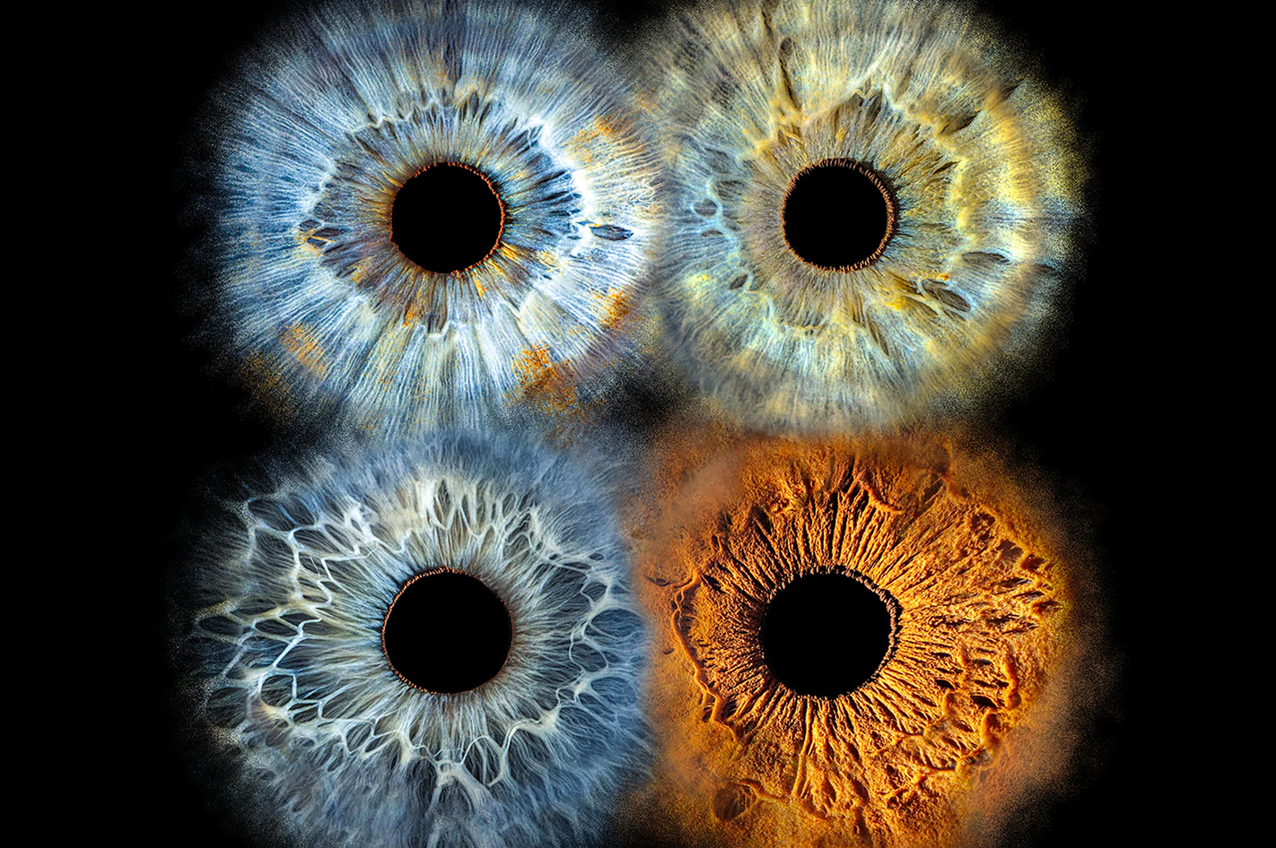 Iris Fotoshooting Langweid –  in Ca. 15 Minuten