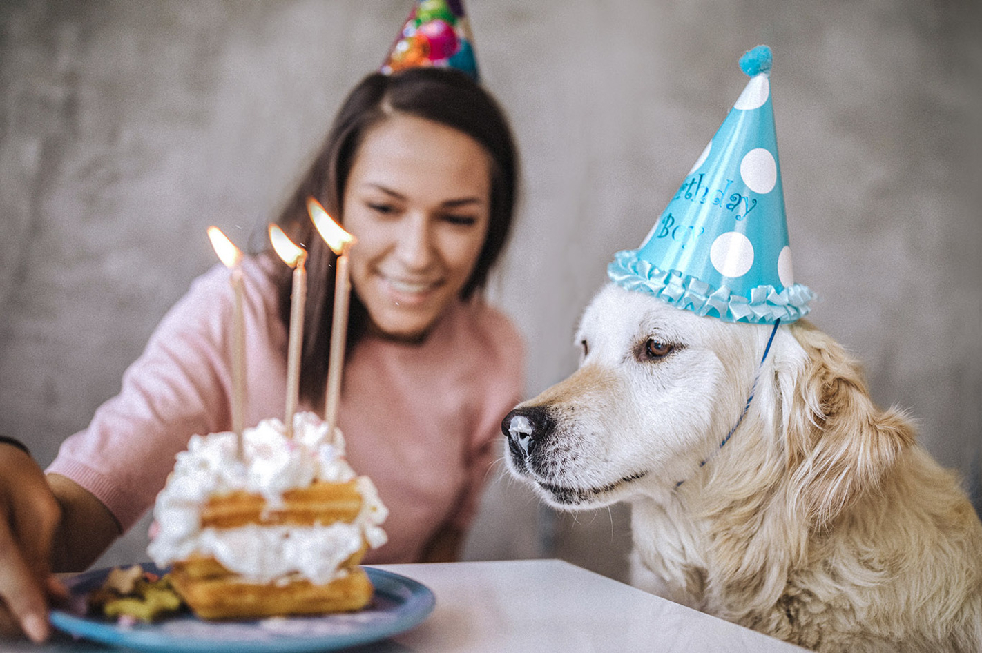 Geburtstags-Dinner für Mensch und Hund Arena München