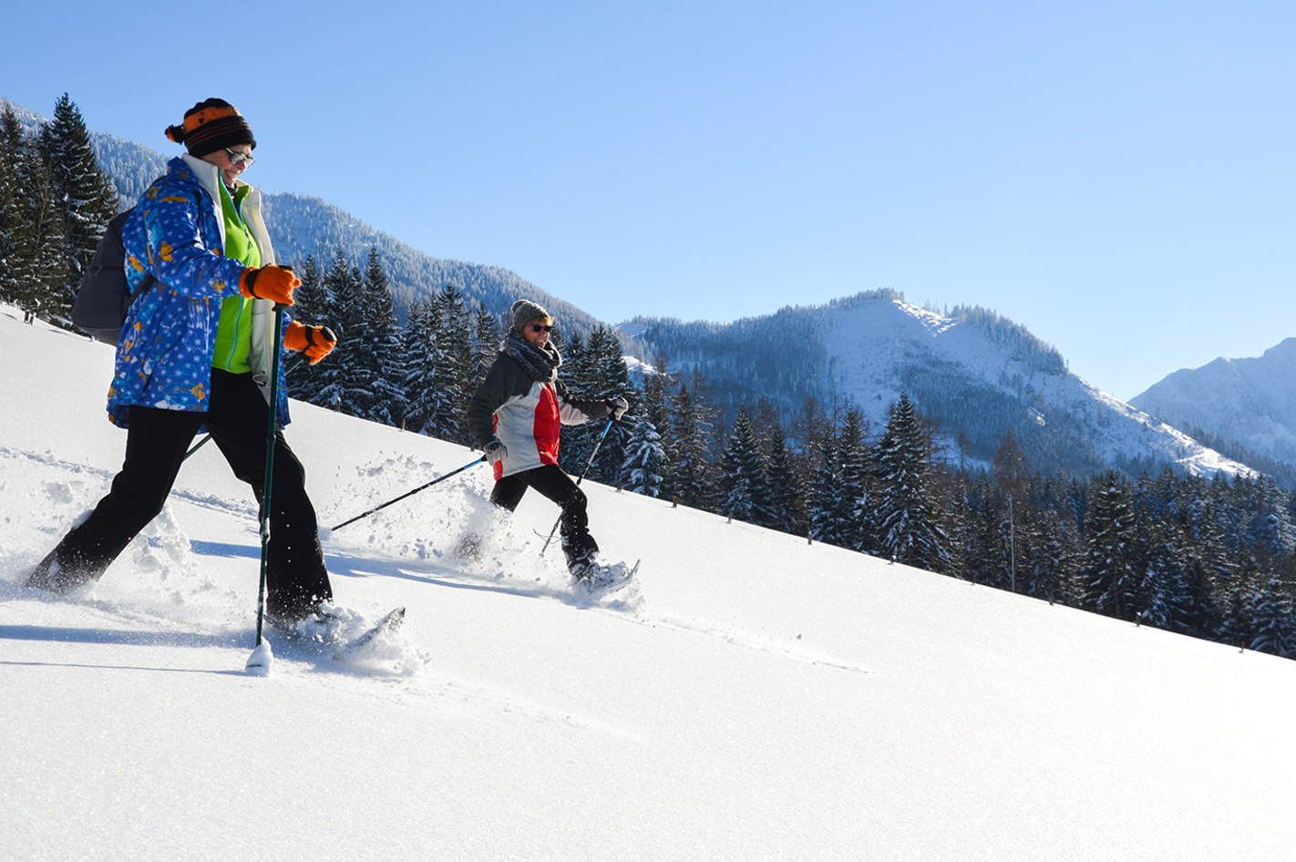 Schneeschuhwanderung Spital am Pyhrn