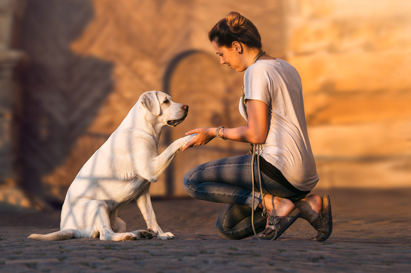 Urlaub mit Hund bei Zittau für 2 (2 Nächte)