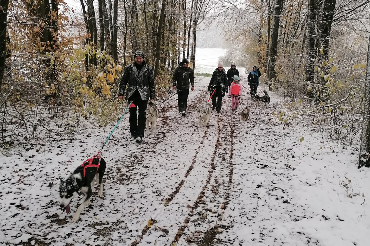 Husky Trekking Neumarkt in der Oberpfalz in Neumarkt i.d.OPf.