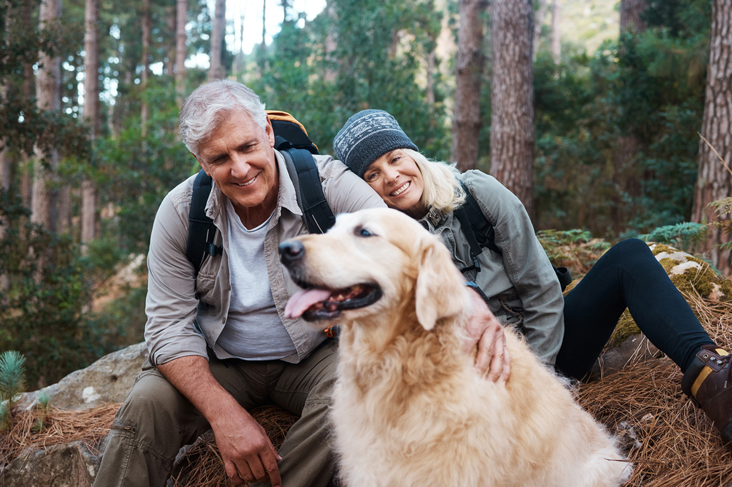 3 Tage Urlaub mit Hund im Harz für 2 (2 Nächte) inkl. Frühstück