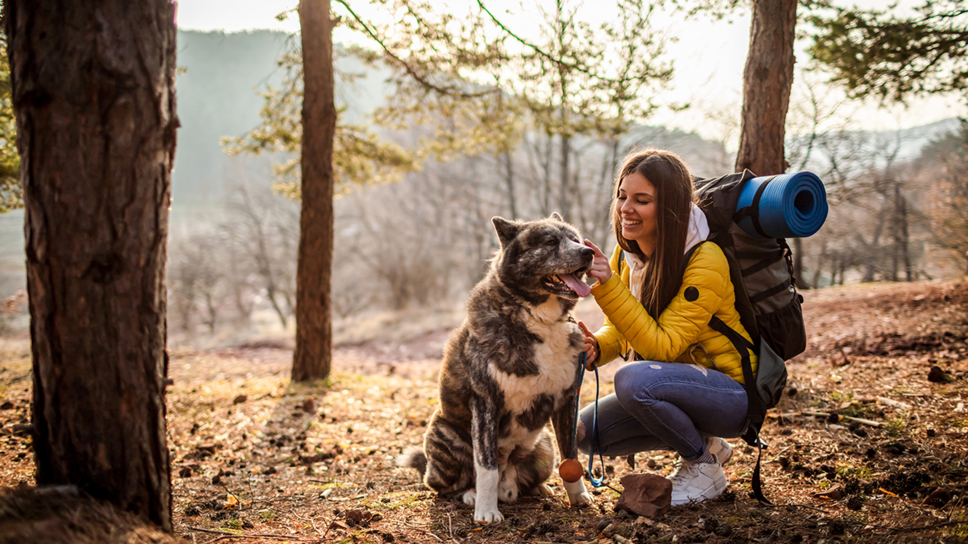 Urlaub mit Hund im Harz für 2 (2 Nächte) in Bad Harzburg