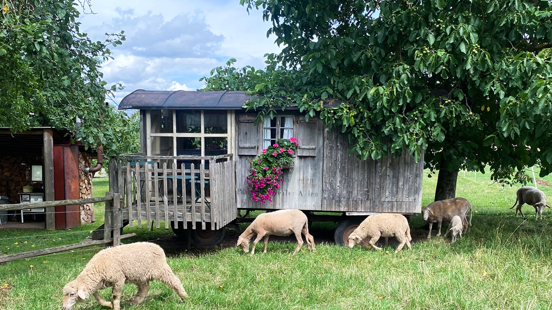 Familienurlaub im Bienenwagen (2 Nächte) in Pfalzgrafenweiler