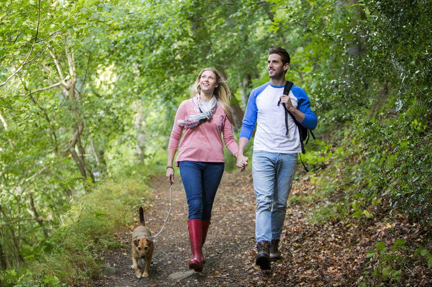 Urlaub mit Hund Südpolen für 2 (2 Nächte) in Raclawice