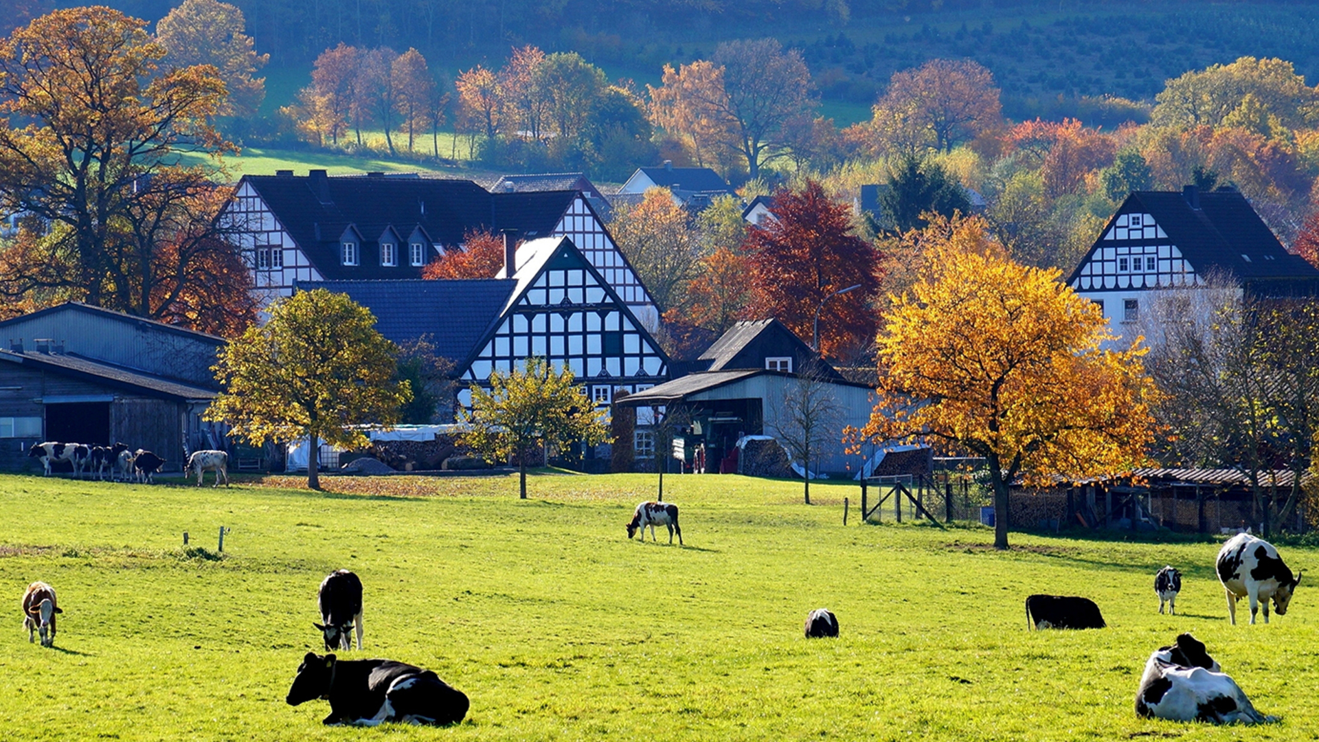 3 Tage Kurzurlaub im Sauerland für 2 (2 Nächte) inkl. Frühstück