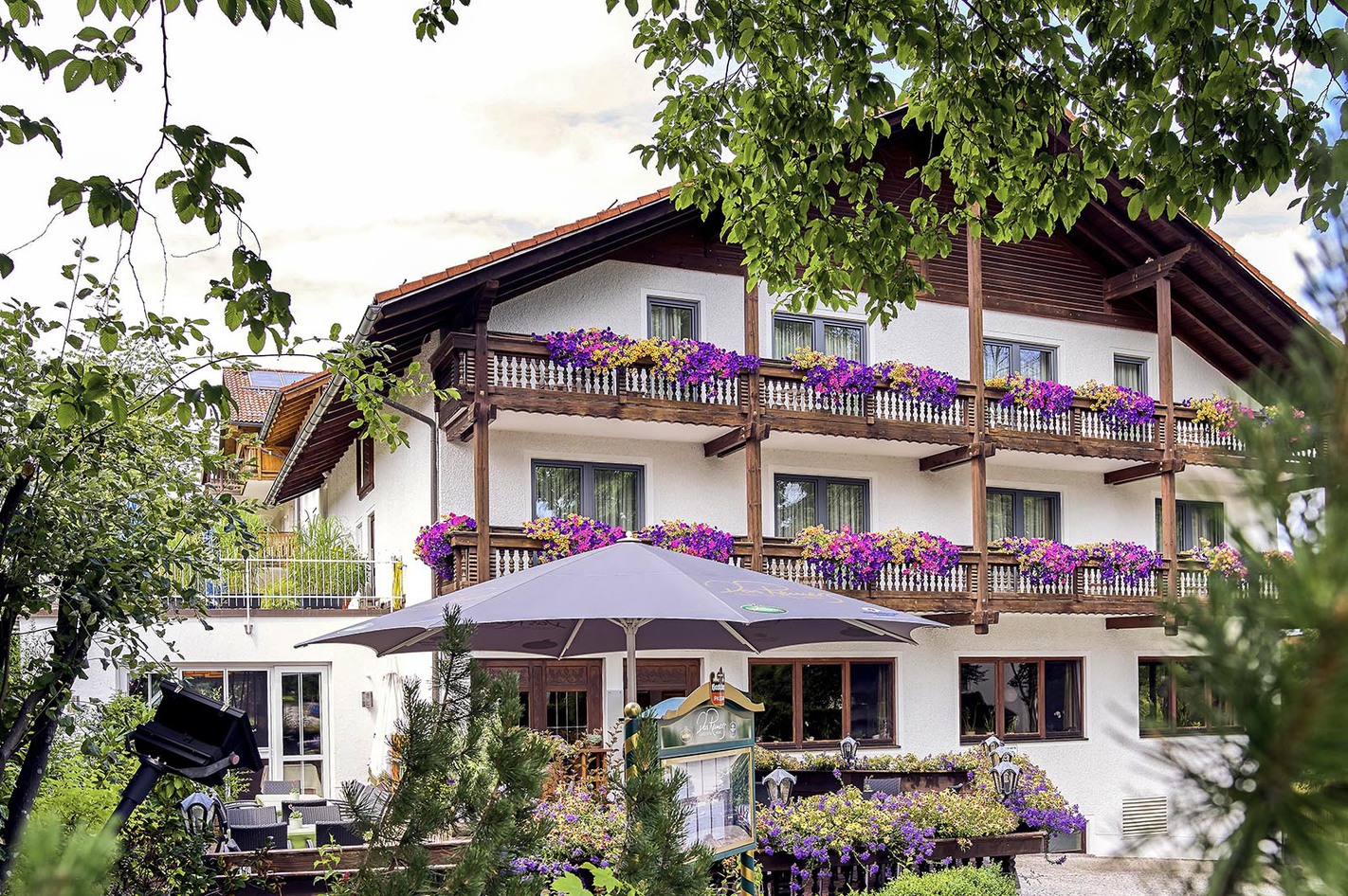 Kurzurlaub im Bayerischen Wald mit Waldbaden für 2 (1 Nacht) in Grafenau