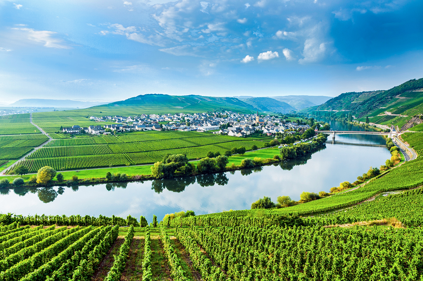 Weinbergwanderung mit Klettersteig an der Mosel  in Ediger-Eller