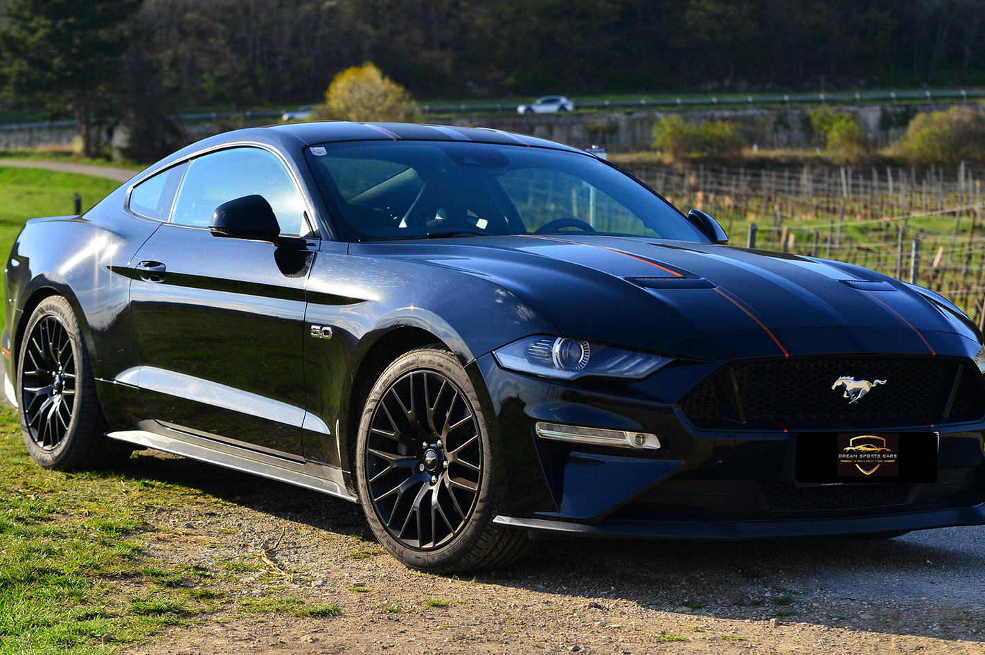 Ford Mustang fahren bei Wien (4 Std.) in Tribuswinkel