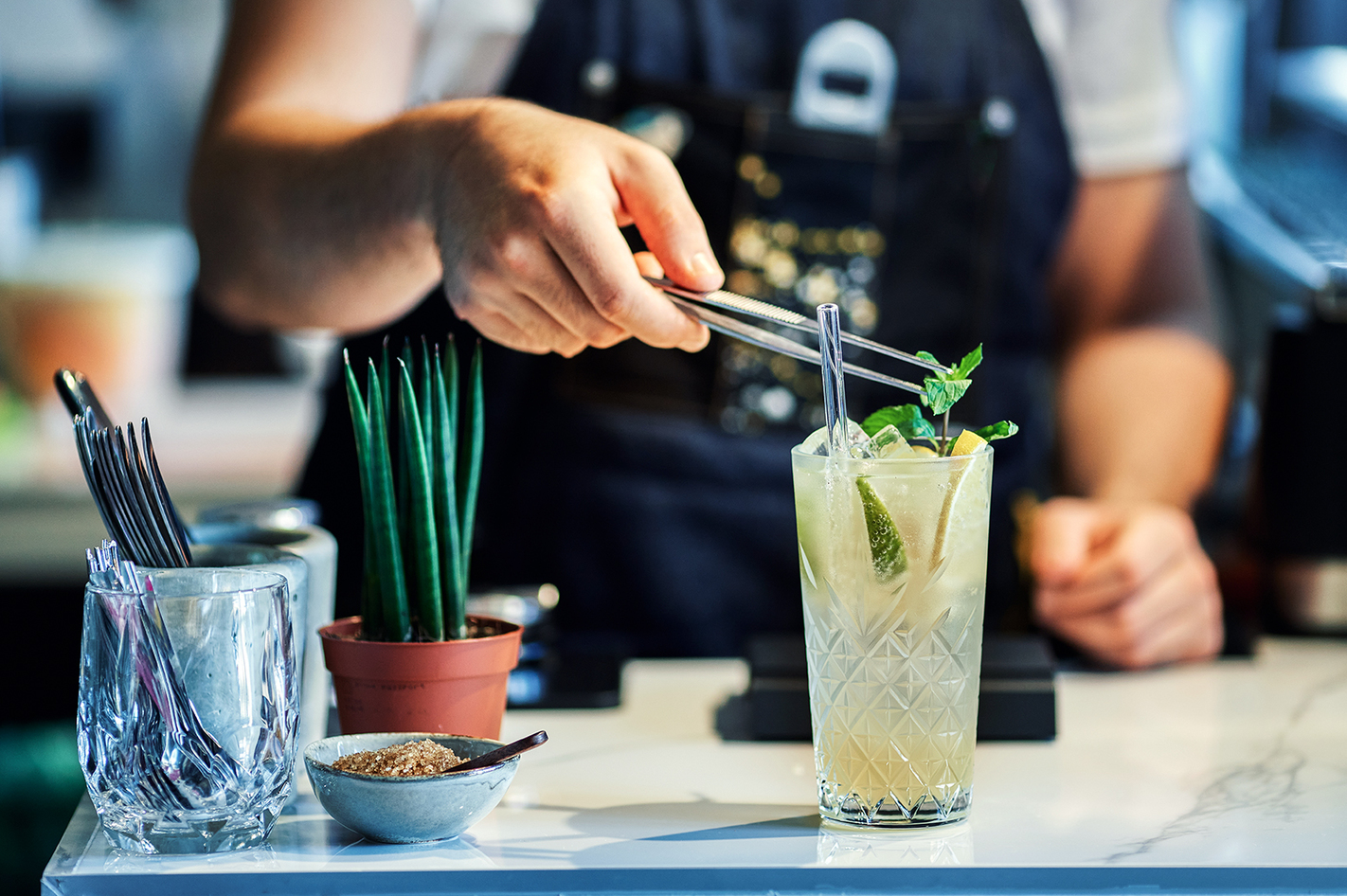 Gin Tasting in Regensburg