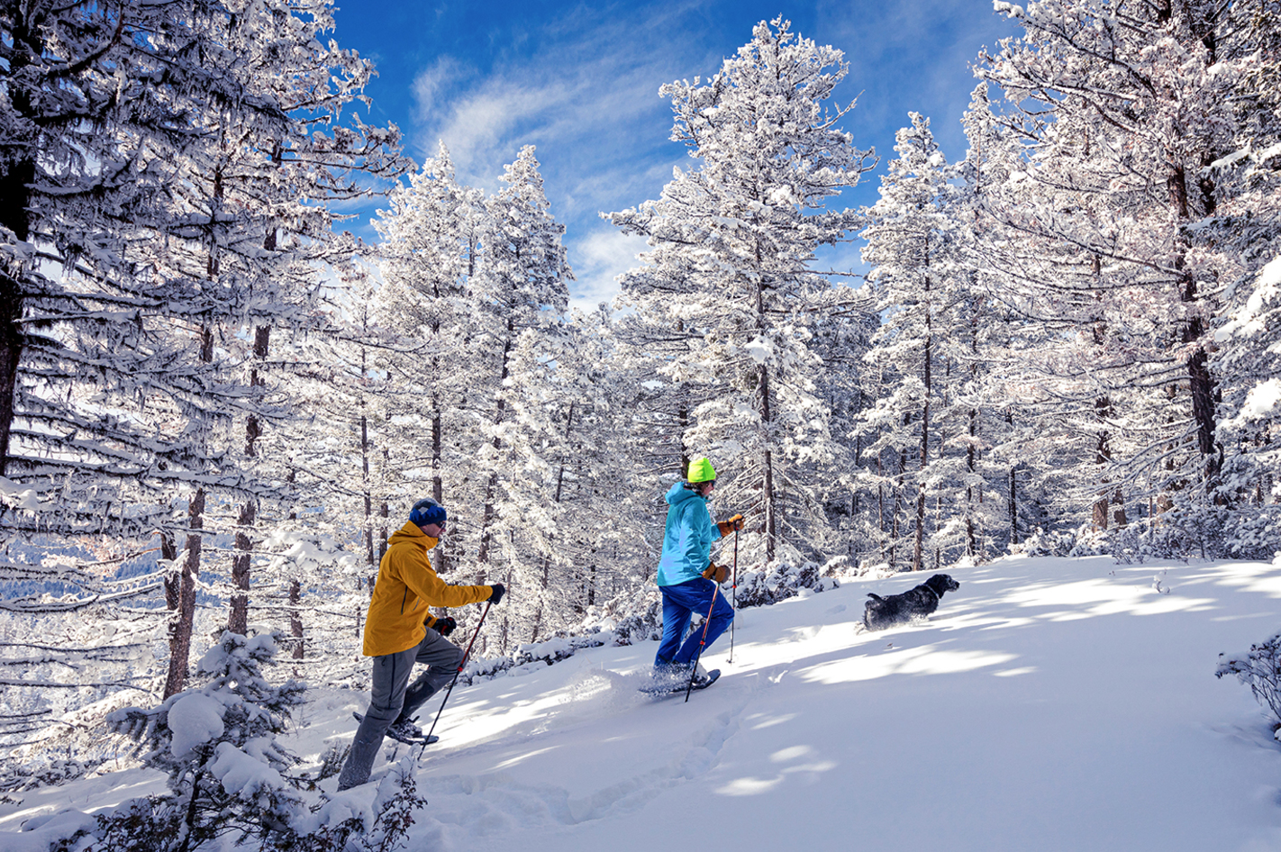 Schneeschuh-Tour mit dem eigenen Hund