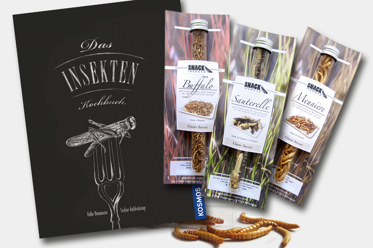 Snack Insects Kochset für Zuhause Österreich